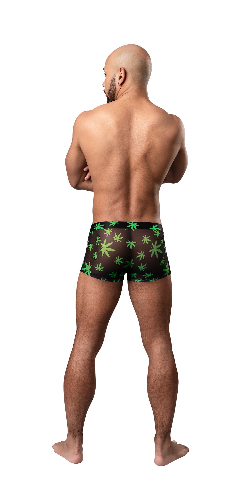 Hazy Dayz - Pot Leaf - Pouch Short