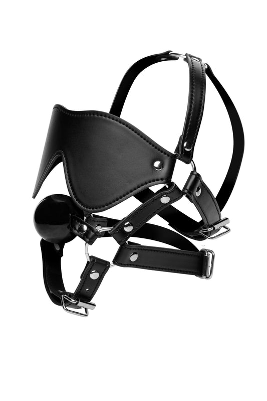 Blindfold Harness and Ball Gag STR-AE909